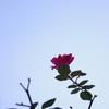 IMGP0410