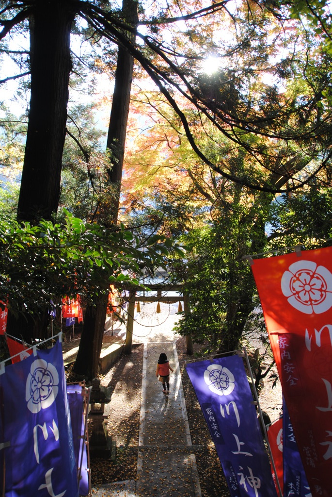 秋のひと時。
