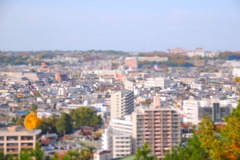新機能。。。