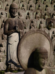 忍び寄る…