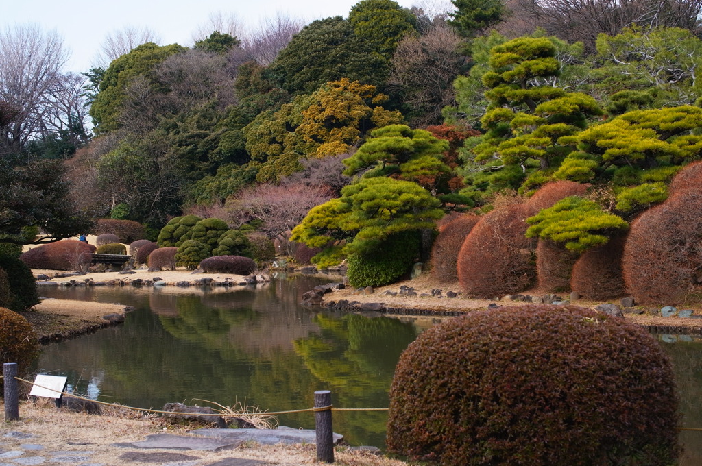 小石川植物園