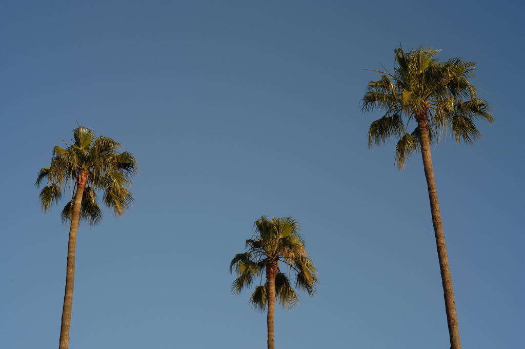 Marrakesh,Morocco