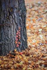 photo09