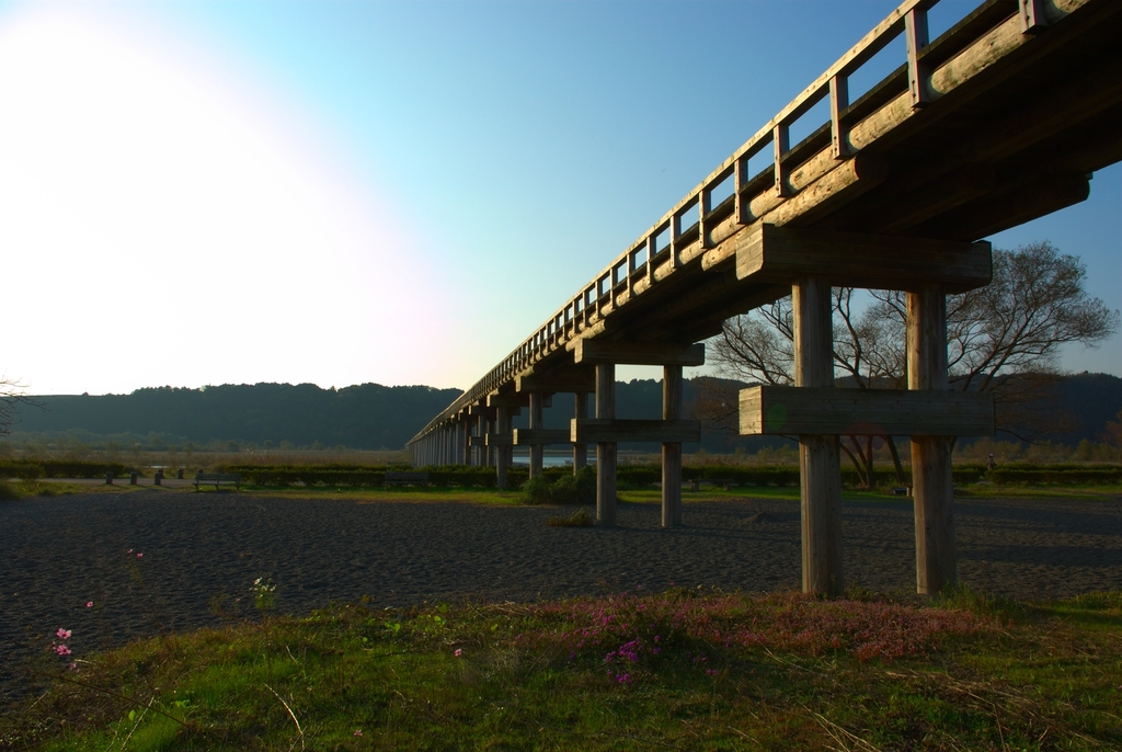 朝の蓬莱橋