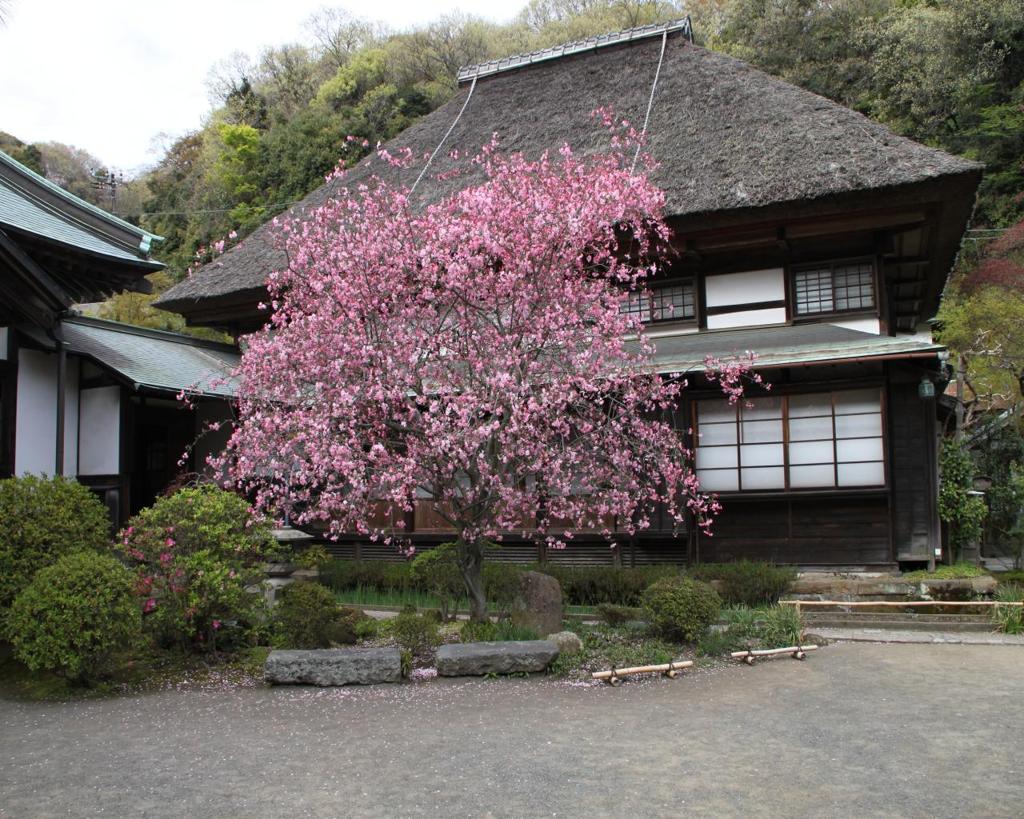 kamakura2