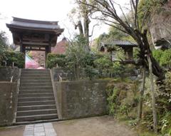kamakura3