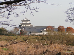 DSC00096
