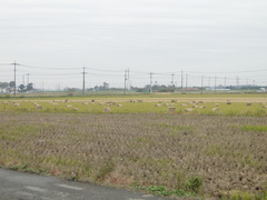 DSC00025