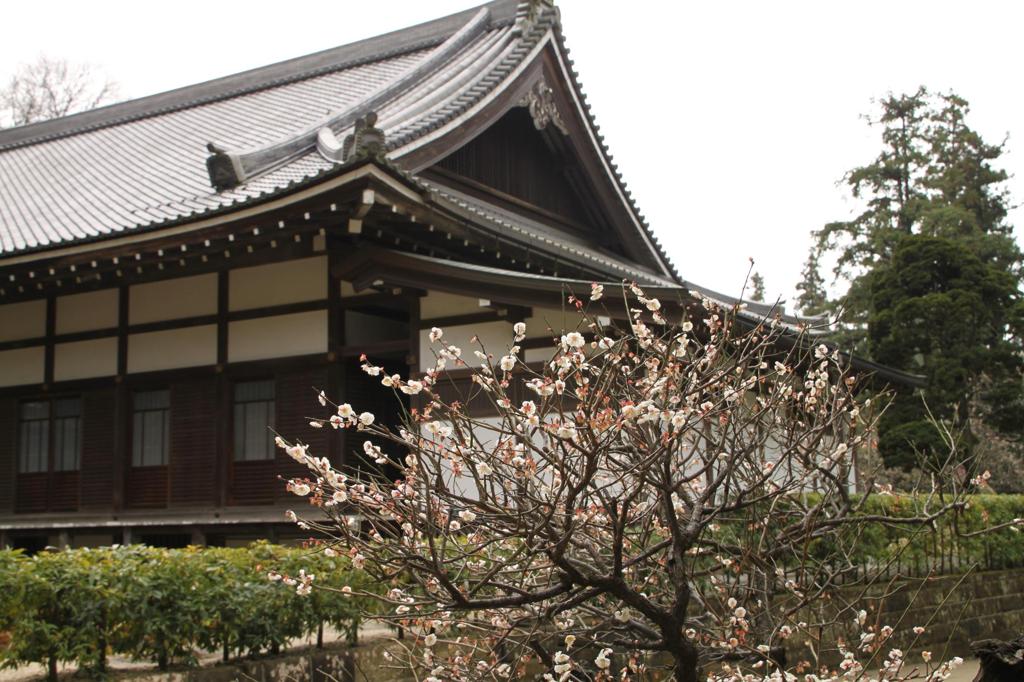 円覚寺