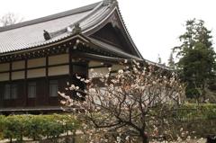 円覚寺