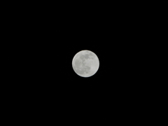DSC00319