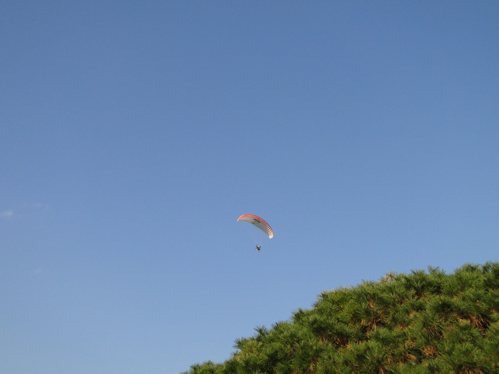 DSC00085