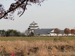 DSC00093