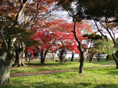 DSC00081