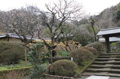 浄智寺