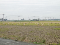 DSC00025