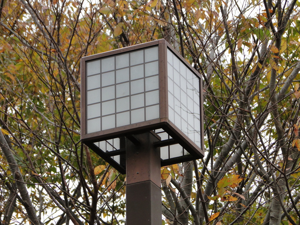 DSC00038