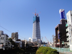 DSC00196