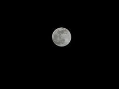 DSC00317