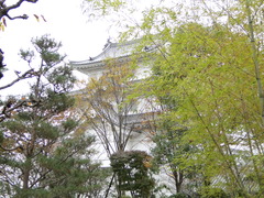 DSC00042