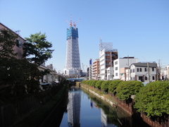 DSC00201