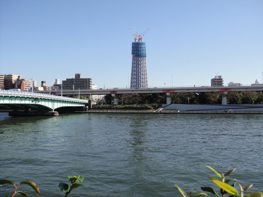 DSC00207