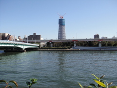 DSC00207