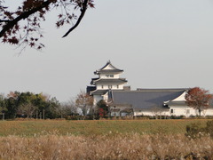 DSC00095