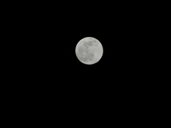 DSC00316