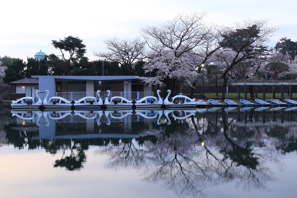 水鏡の朝