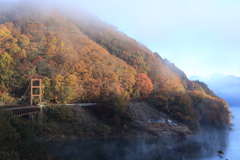 朝日を浴びて