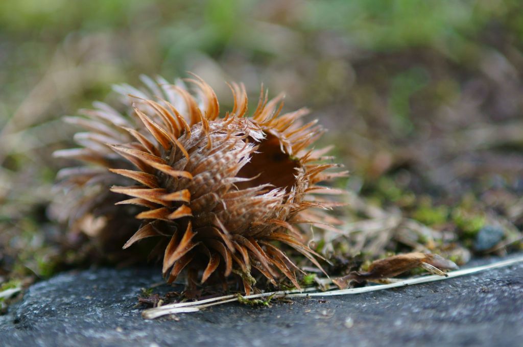 食べちゃうぞ～