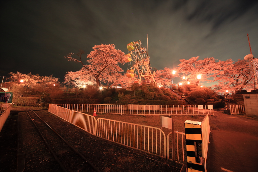 夜の公園