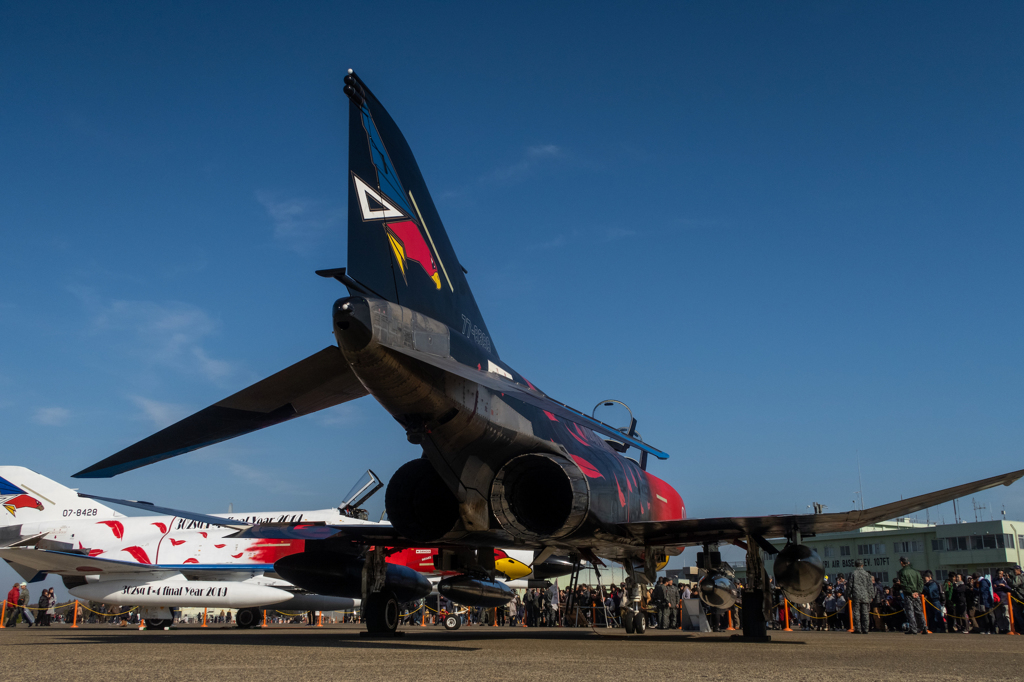 F-4 Hip