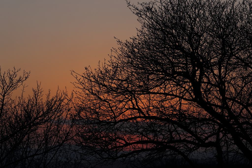 夕焼け