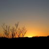 近所の夕焼け