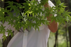 In The Green