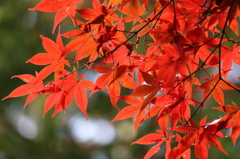 今年もありがとう