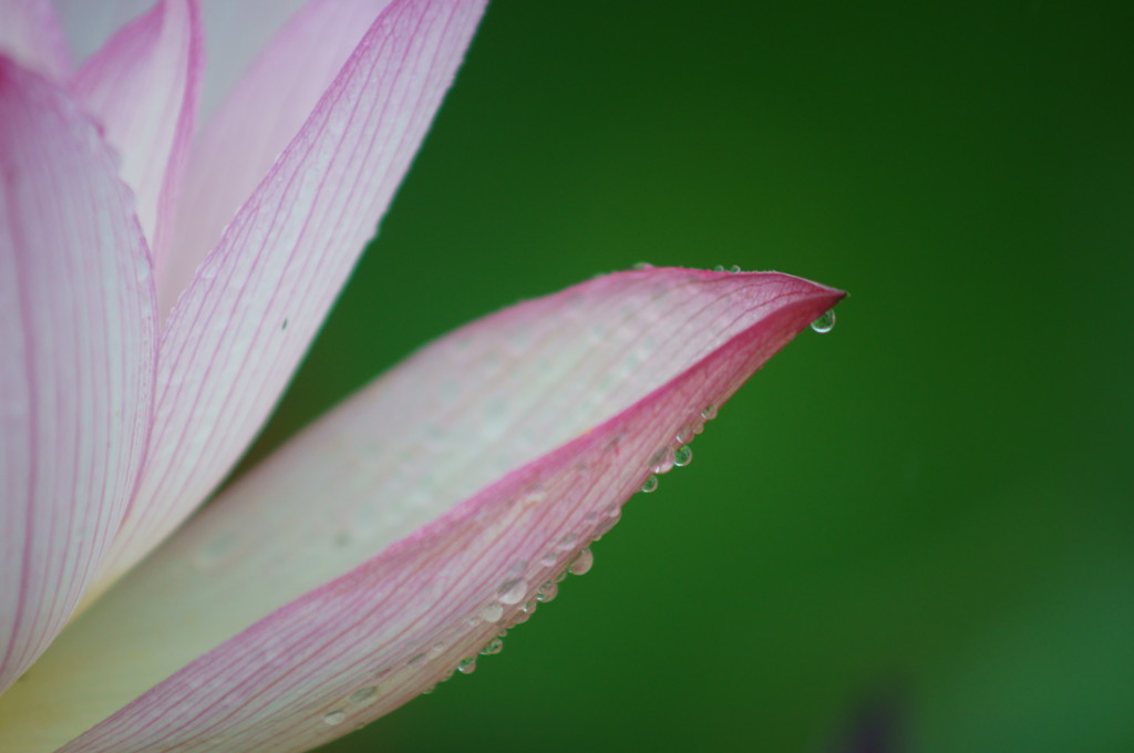 雫02