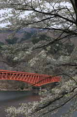 草木橋の春
