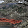 草木橋の春