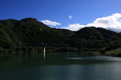緑の迷彩