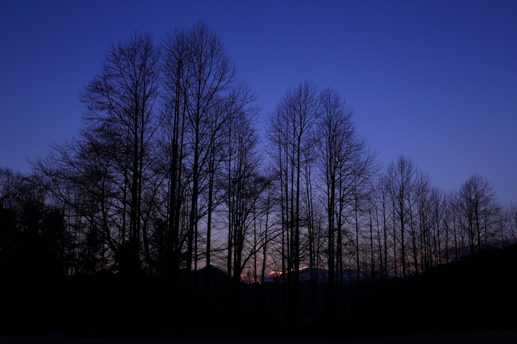 冬の夕景