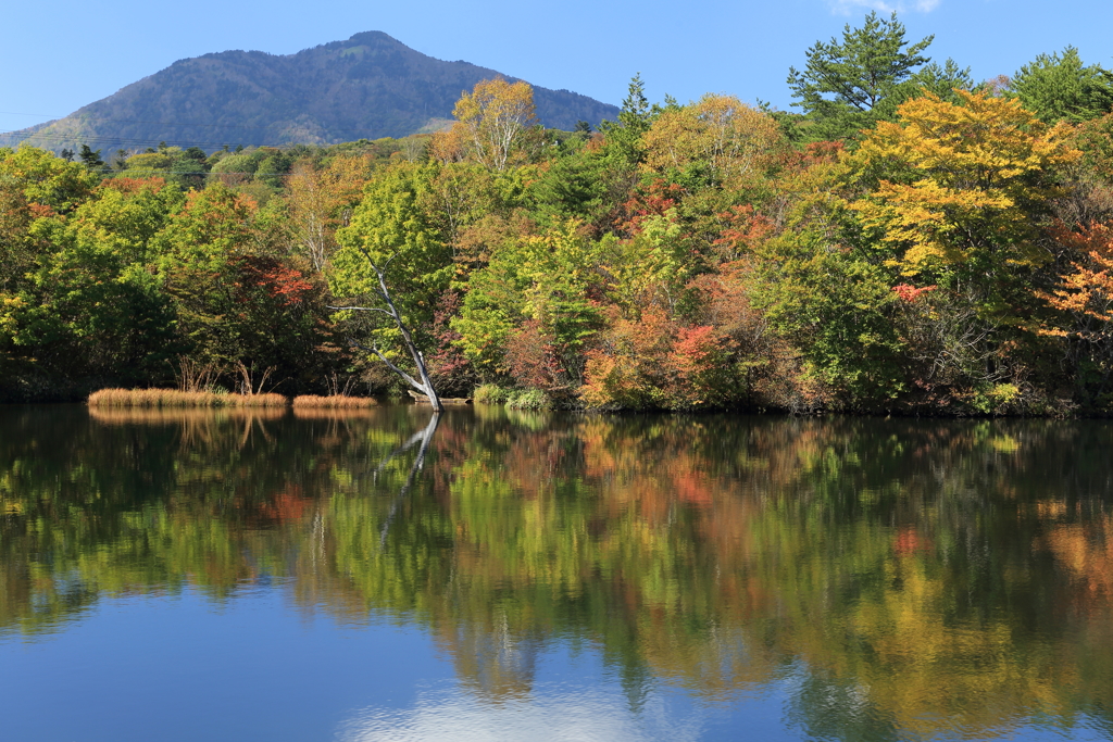 八方湖紅葉開始