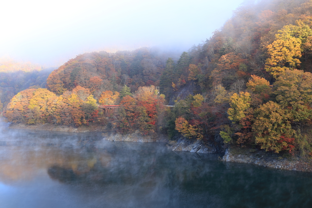 朝靄の紅葉