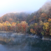 朝靄の紅葉