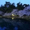 早朝の公園
