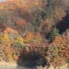 赤い橋と紅葉