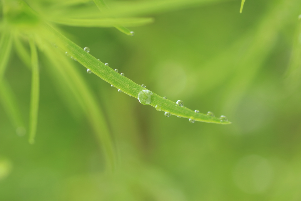 雨滴