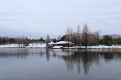 雪の公園